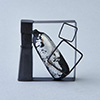 Still life / Brooch / Yuki Sumiya [contemporary jewellery and object]